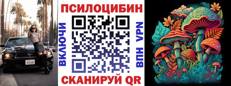 мега tor  Темрюк  Псилоцибиновые грибы GOLDEN TEACHER  закладка 